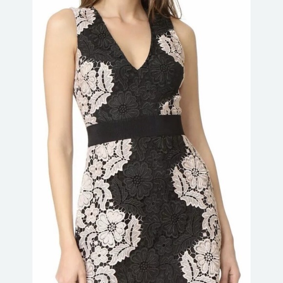 Alice + Olivia Dresses & Skirts - Alice & Olivia Patrice Aline dress size 6 looks great